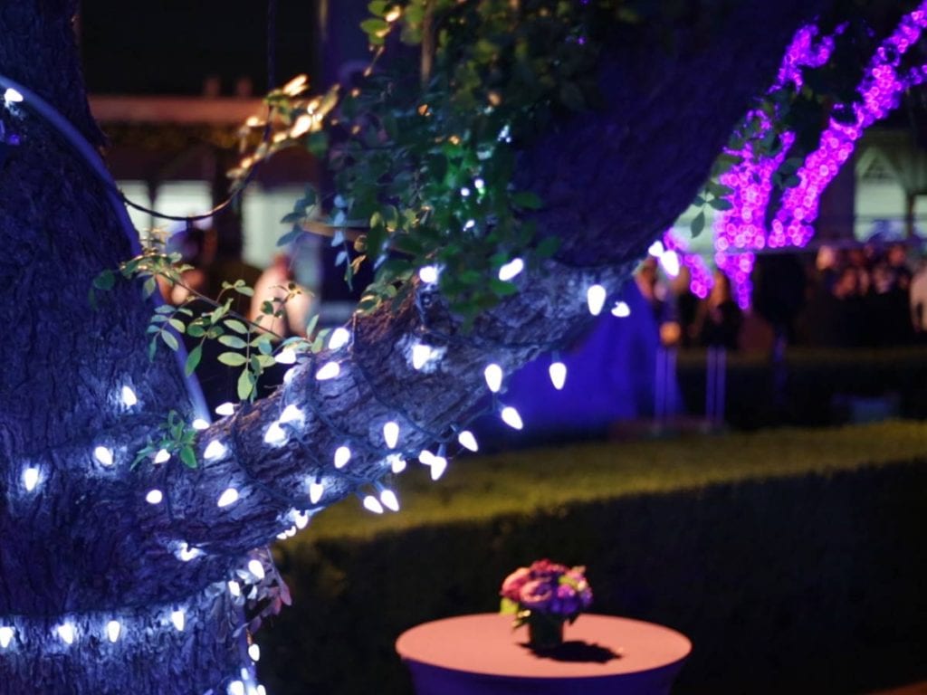 Holiday Lighting Design