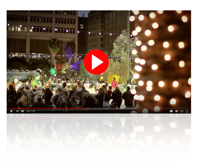 Christmas Lighting Installation - Mobile Illumination