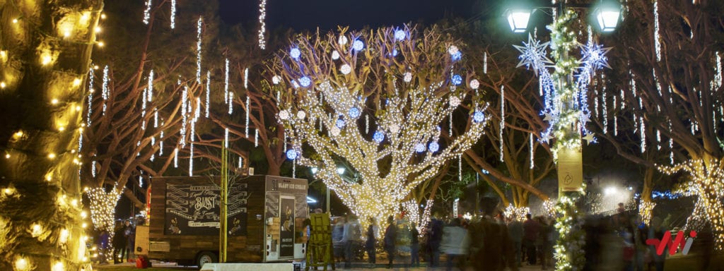 commercial christmas lighting