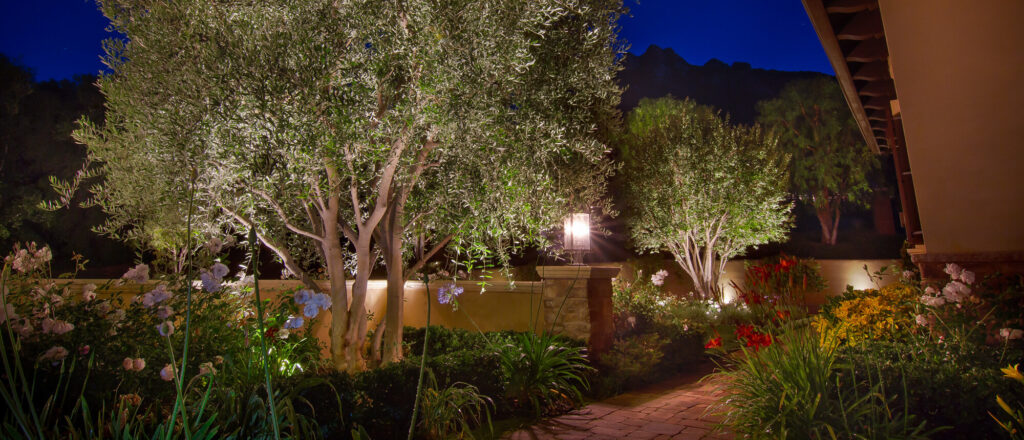 Landscape Lighting Project