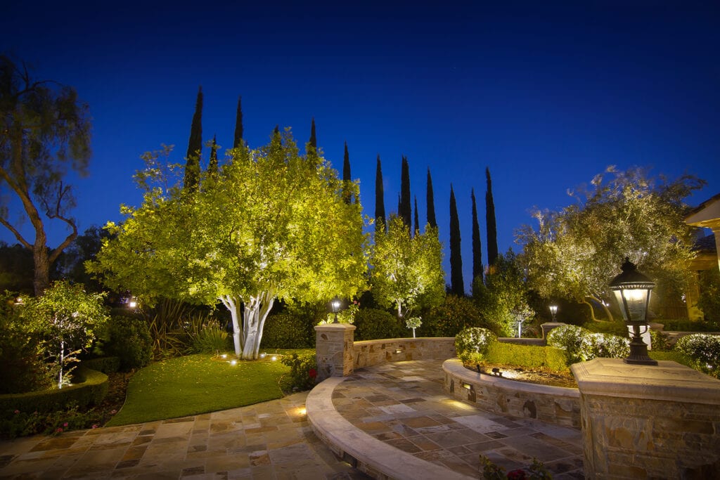 Tree and Pathway Landscape Lighting