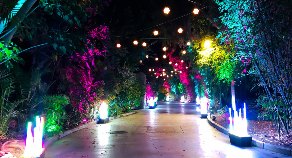 LA Zoo Lights Path