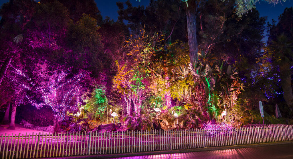 LA Zoo Lights Flamingo Party