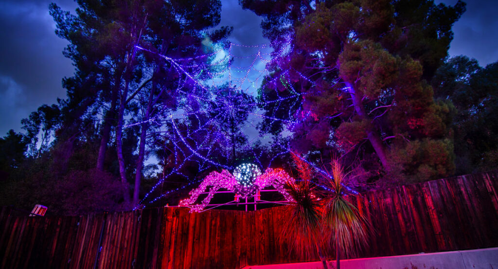 LA Zoo Lights Spider