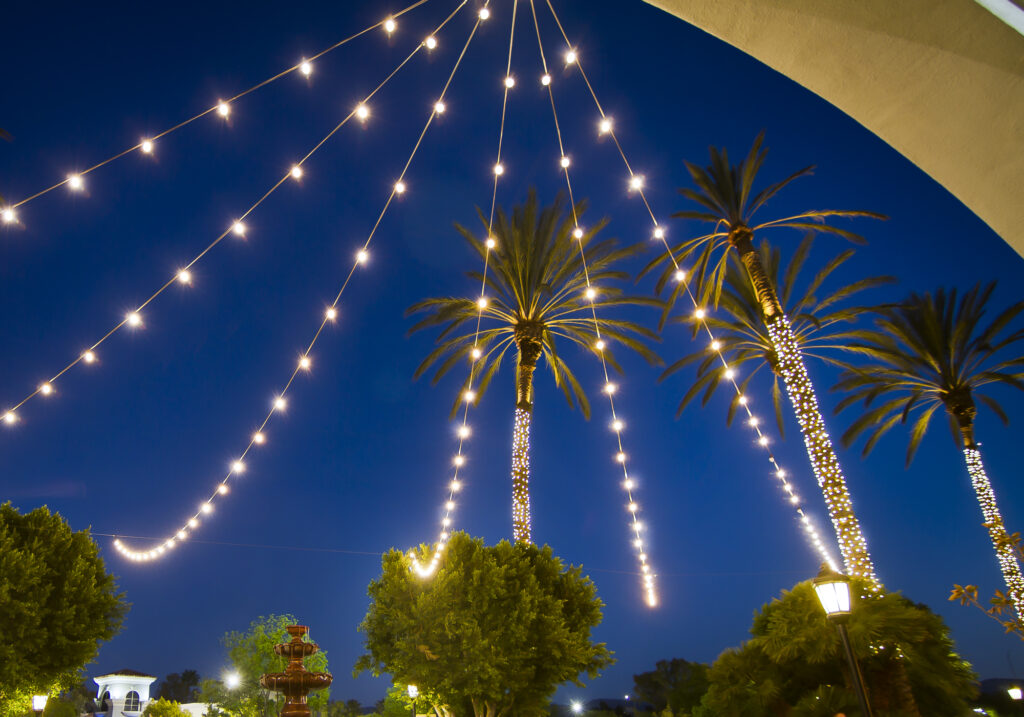 String Lights Hung Above