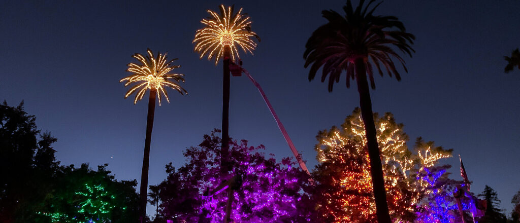 Hire Christmas Lighting Professional