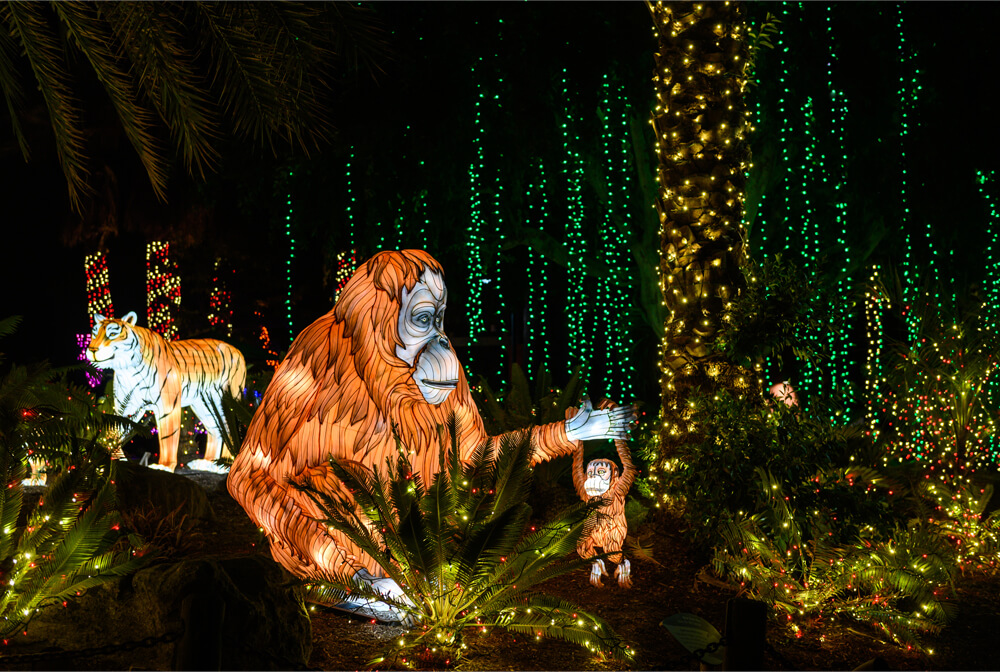 Los Angeles Zoo Christmas Lighting- LED Orangutans
