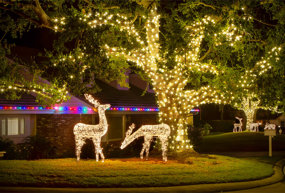 Christmas Décor featuring tree wrapping and LED reindeer for a residential property