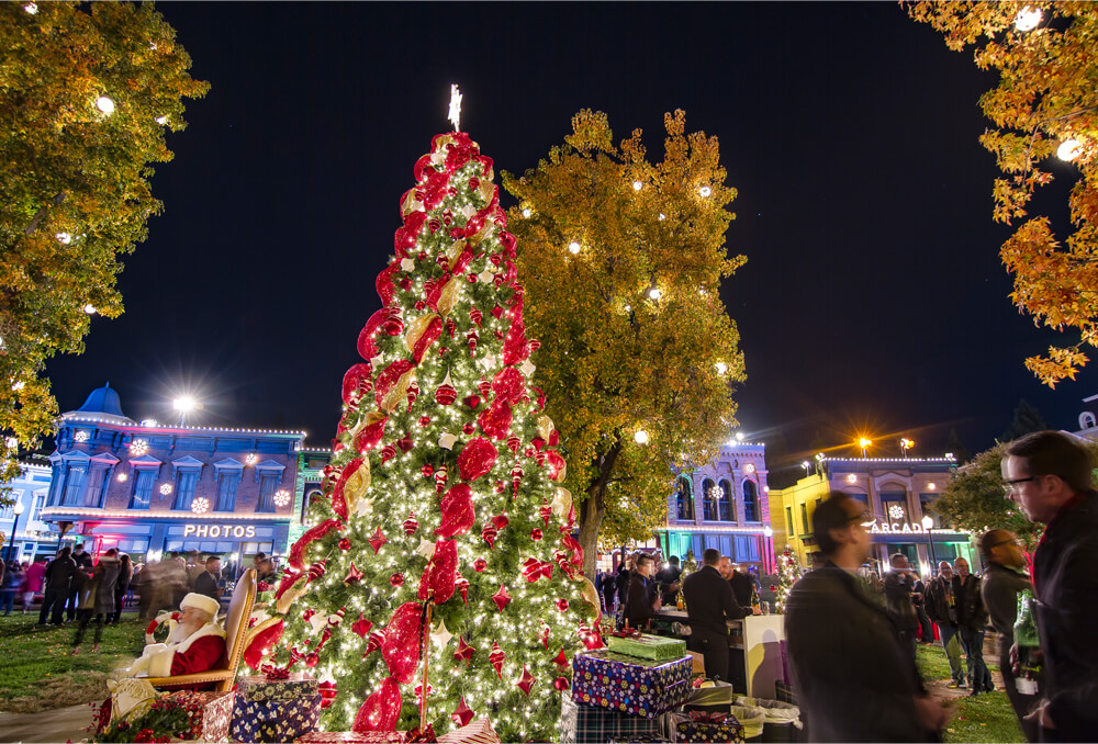 Warner Brothers Christmas Tree with custom lighting and props
