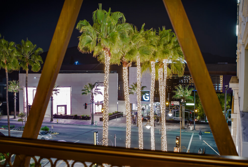 Americana at Brand Christmas Lighting Palm Trees