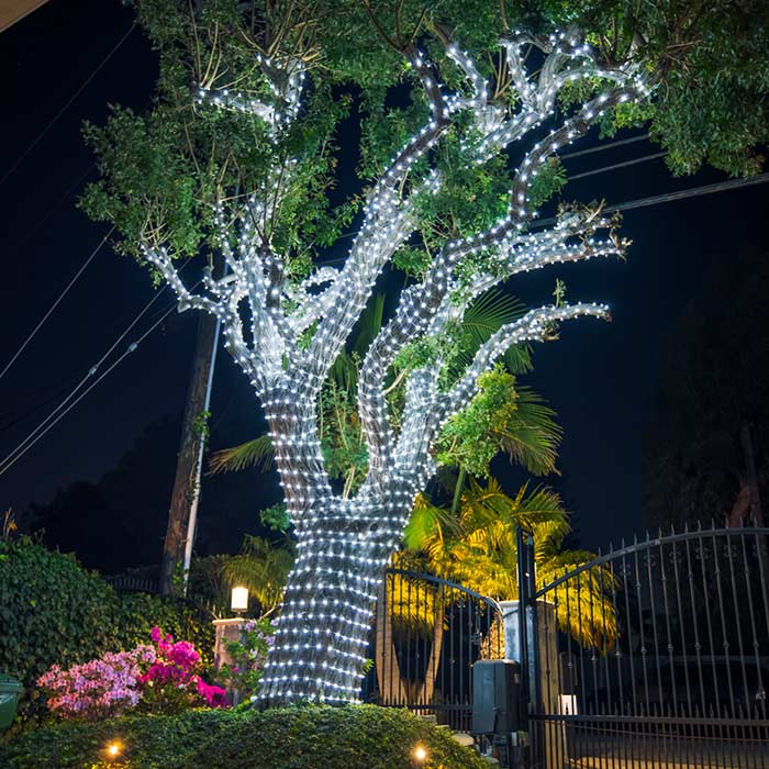 String Lighting Clip Lights