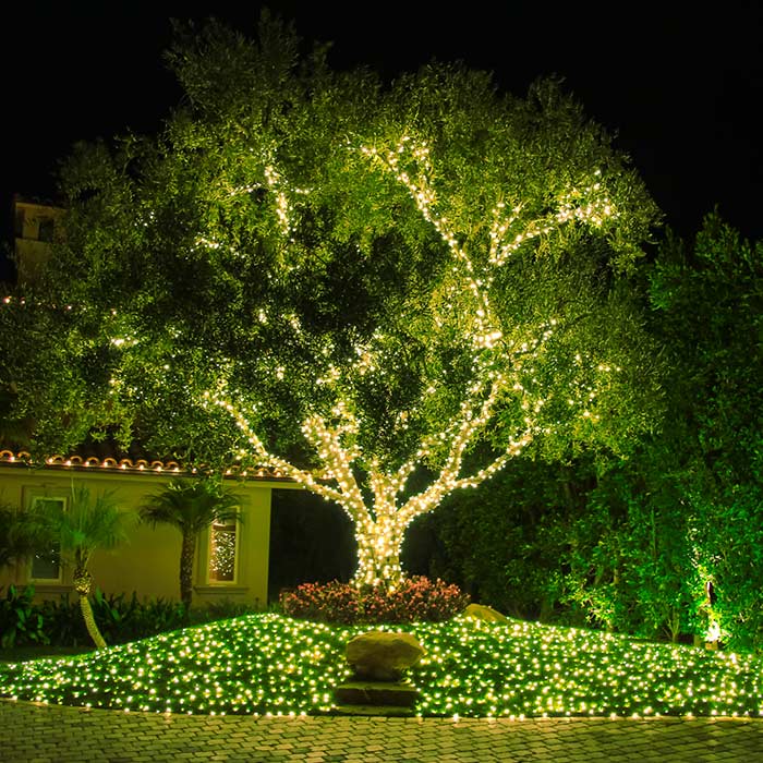 String Lighting Mini Lights