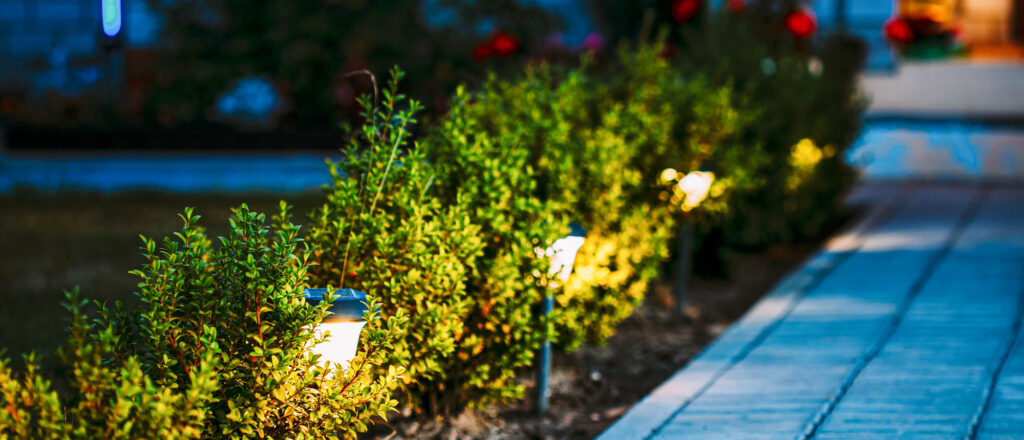 landscape lighting