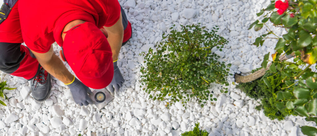 Lighting Company for Your Custom Lighting Project